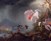 Two Fighting Hummingbirds with Two Orchids - 马丁·约翰逊·赫德